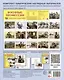 Демонстрационные картинки "Военные профессии". 16 демонстрационных картинок с текстом на обороте - фото 2
