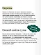 Мудрость: как отличать важное от громкого и жить без самообмана - фото 7