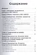 ANSYS для конструкторов - фото 2