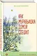Как Муравьишка домой спешил - фото 3