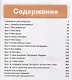 Русский сезон : учебник по русскому языку. Элементарный уровень + CD. 2-е издание - фото 2