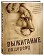 Выжигание по дереву. Полное пошаговое руководство по пирографии для начинающих и увлеченных - фото 3