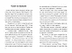 Три юных детектива. Турбогонка - фото 9