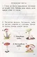 Итоговые комплексные работы. 1 класс. ФГОС - фото 3