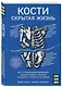 Кости: скрытая жизнь. Все о строительном материале нашего скелета, который расскажет, кто мы и как живем - фото 3