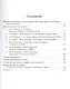 Венгерская кампания русской армии 1849 года. Диалог о проблемах и исследованиях - фото 2