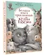 Большая книга приключений кота Тихона - фото 3