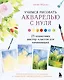 Учимся рисовать акварелью с нуля: 25 пошаговых мастер-классов для начинающих - фото 1