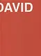David. The Life of David Ashotovich Sarkisyan - фото 1