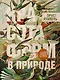 Красота форм в природе. Альбом старинных иллюстраций - фото 1