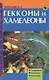 Гекконы и хамелеоны. Содержание. Разведение. Кормление (н/о) - фото 2
