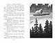 Верные. Книга 2. Тайна трёх колец - фото 4