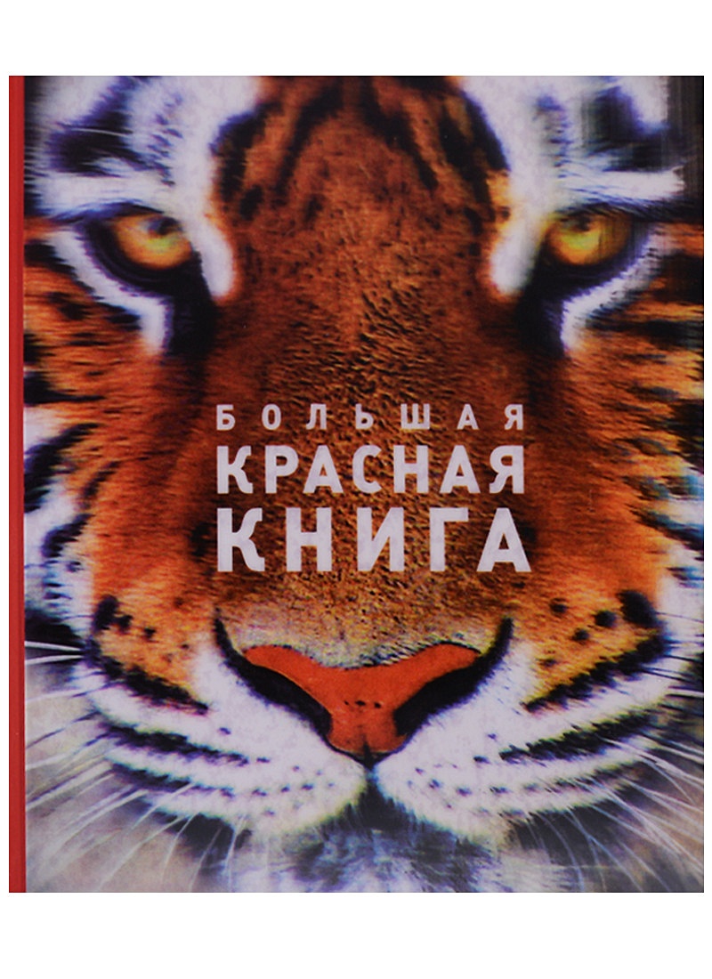 Красная книга обложка. Красная книга. Коранская книга. КИШ С красной.