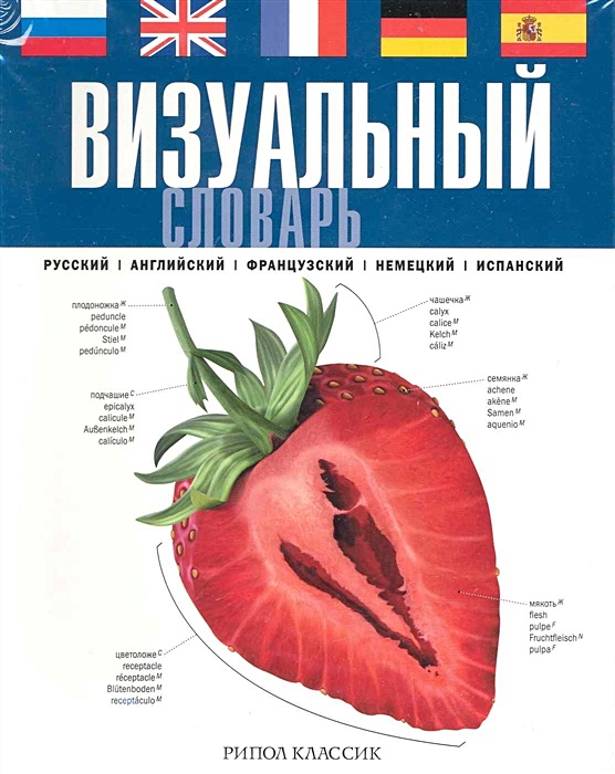 Русском английском французском. Русско-английский визуальный словарь. Визуальный словарь английского языка. Визуальный словарь Рипол Классик. Англо-русский визуальный словарь.