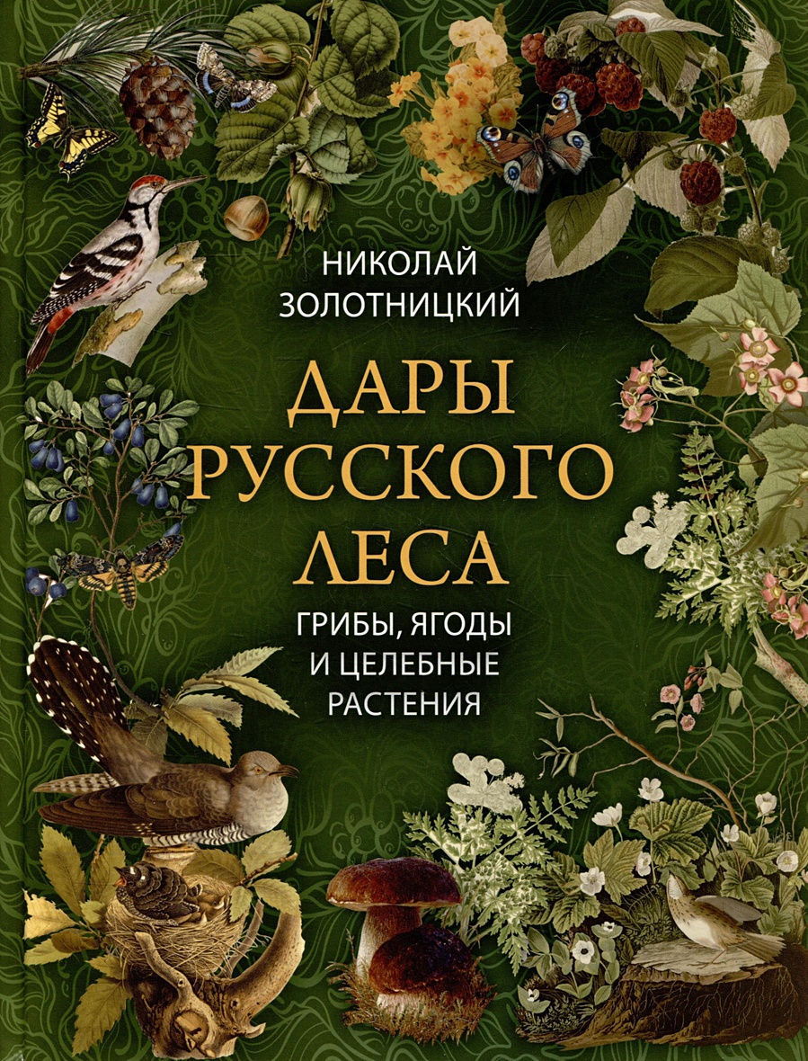 Дары русского леса. Грибы, ягоды и целительные растения • Золотницкий Н.Ф.,  купить по низкой цене, читать отзывы в Book24.ru • Эксмо-АСТ • ISBN  978-5-00185-296-4, p6782784