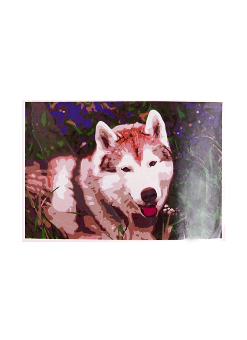 Распечатать раскраски собак, картинки собак, рисунки собак разных пород