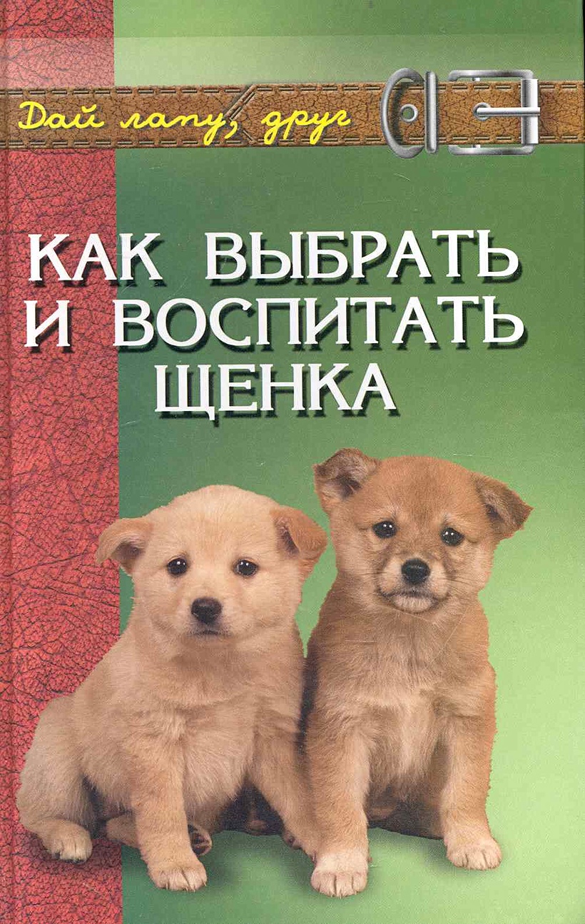 Дрессировка собак книга. Воспитание собаки. Воспитание собаки. Джек-рассел-терьер 6 месяцев. Ханаанская собака фото и описание.