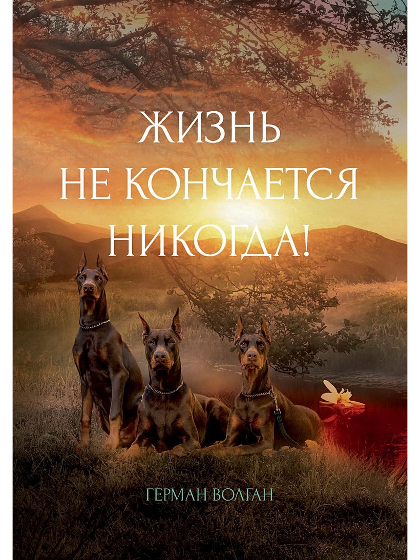 Смэш только бы жизнь никогда не кончалась. Путешествия никогда не кончаются книга. там где кончается волшебство книга. волган г. &quot;воскрешение чувств&quot;.