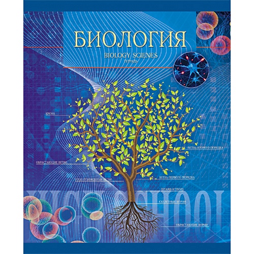Тетрадка по биологии. Тетрадь по биологии 8 класс предметная 48 листов. Тетрадь по биологии 40 листов. Тетрадь по биологии 5 класс предметная тетрадь. Биология обложка а4.