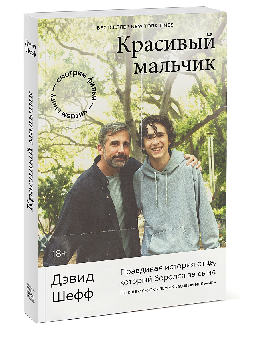 Книга Красивый мальчик. Правдивая история отца, который боролся за сына •  Дэвид Шефф – купить книгу по низкой цене, читать отзывы в Book24.ru • МИФ •  ISBN 978-5-00169-596-7, p5957832