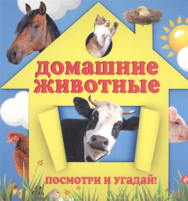 Домашние животные и их особенности. Домашние и дикие животные для детей. Плакат с животными для детей. Домашние животные и их особенности. Книга домашние животные.