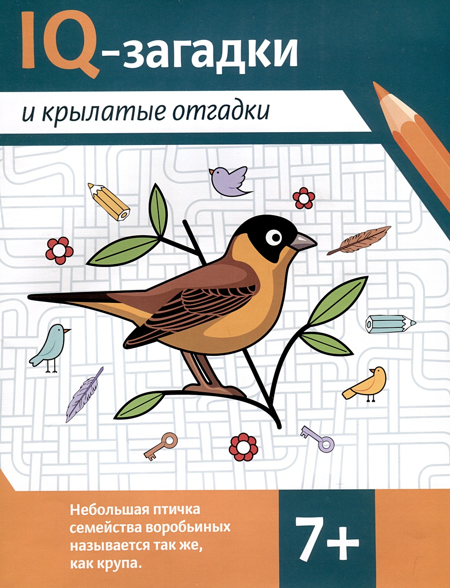 IQ-загадки и крылатые отгадки • Черняева В., купить по низкой цене, читать  отзывы в Book24.ru • Эксмо-АСТ • ISBN 978-5-222-41195-7, p6831609