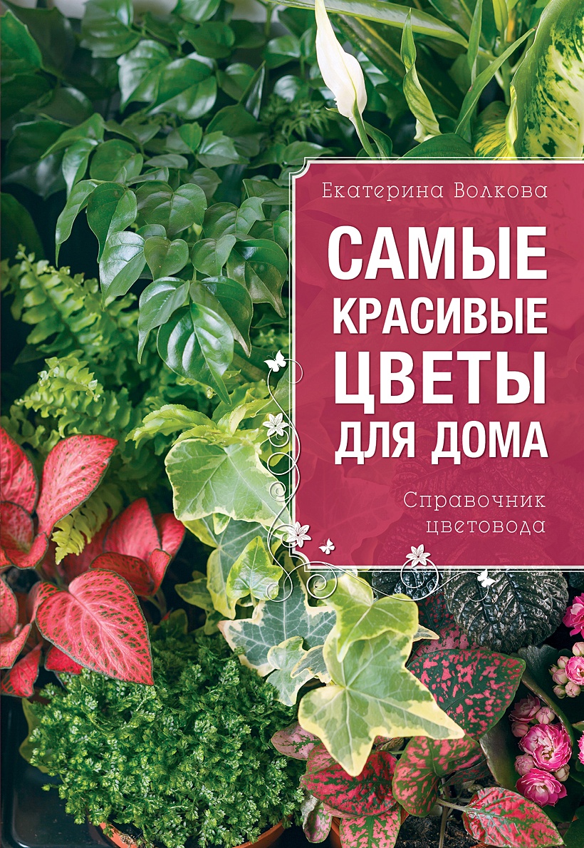 Книга Самые красивые цветы для вашего дома • Екатерина Волкова – купить  книгу по низкой цене, читать отзывы в Book24.ru • Эксмо • ISBN  978-5-04-163045-4, p6053166