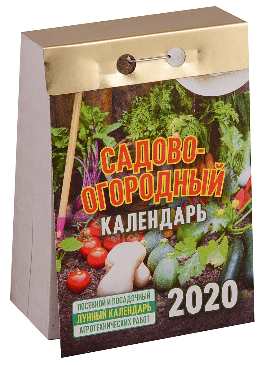 Садово огородный календарь на август