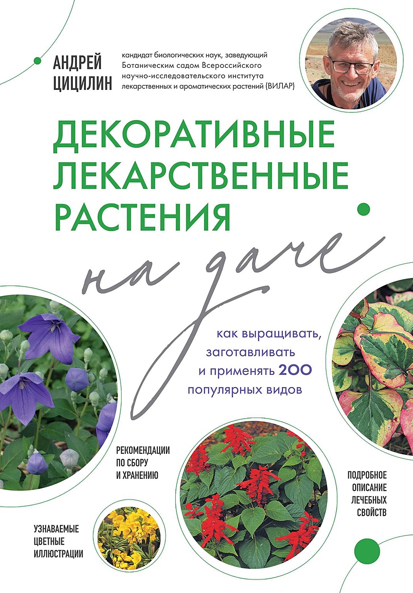 Лекарственные растения на даче. Как собирать, сушить и хранить более 200  видов • Андрей Цицилин, купить по низкой цене, читать отзывы в Book24.ru •  Эксмо • ISBN 978-5-04-187902-0, p6757017