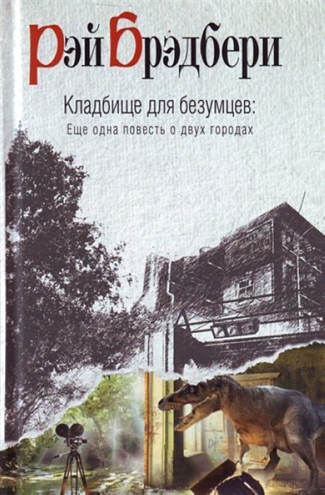 Кладбище для безумцев. Кладбище для безумцев книга. Повесть о двух городах обложка книги.