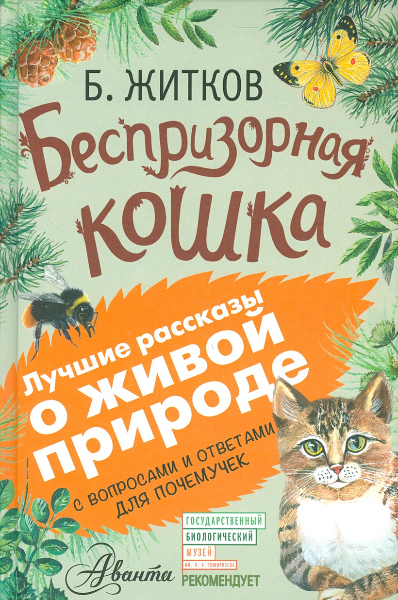 Книга Беспризорная кошка • Б. Житков – купить книгу по низкой цене, читать  отзывы в Book24.ru • АСТ • ISBN 978-5-17-098638-5, p200172