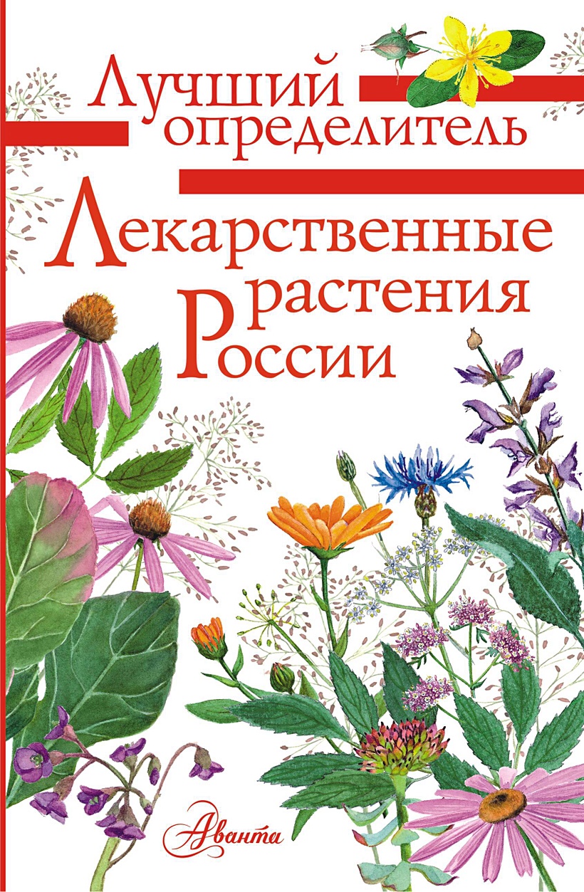 Книга Лекарственные растения России • Филин А.Н. – купить книгу по низкой  цене, читать отзывы в Book24.ru • АСТ • ISBN 978-5-17-152760-0, p7054495