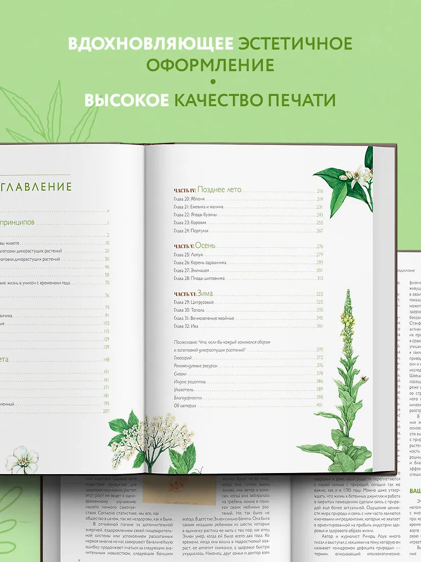 Дикие травы: как найти целебные продукты и создать собственные натуральные лекарства - фото 6