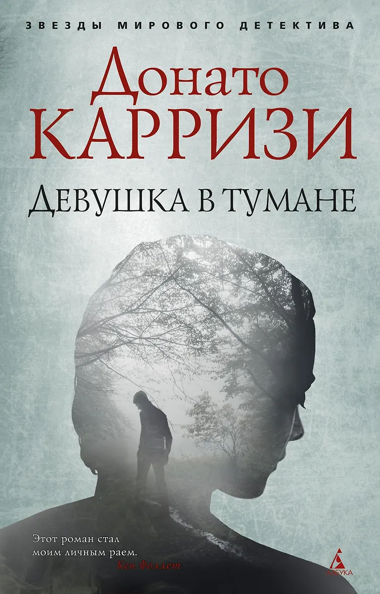 Дом огней донато карризи. Аудиокнига карризи слушать. Аудиокнига карризи слушать. Теория зла. Карризи охотник за тенью.
