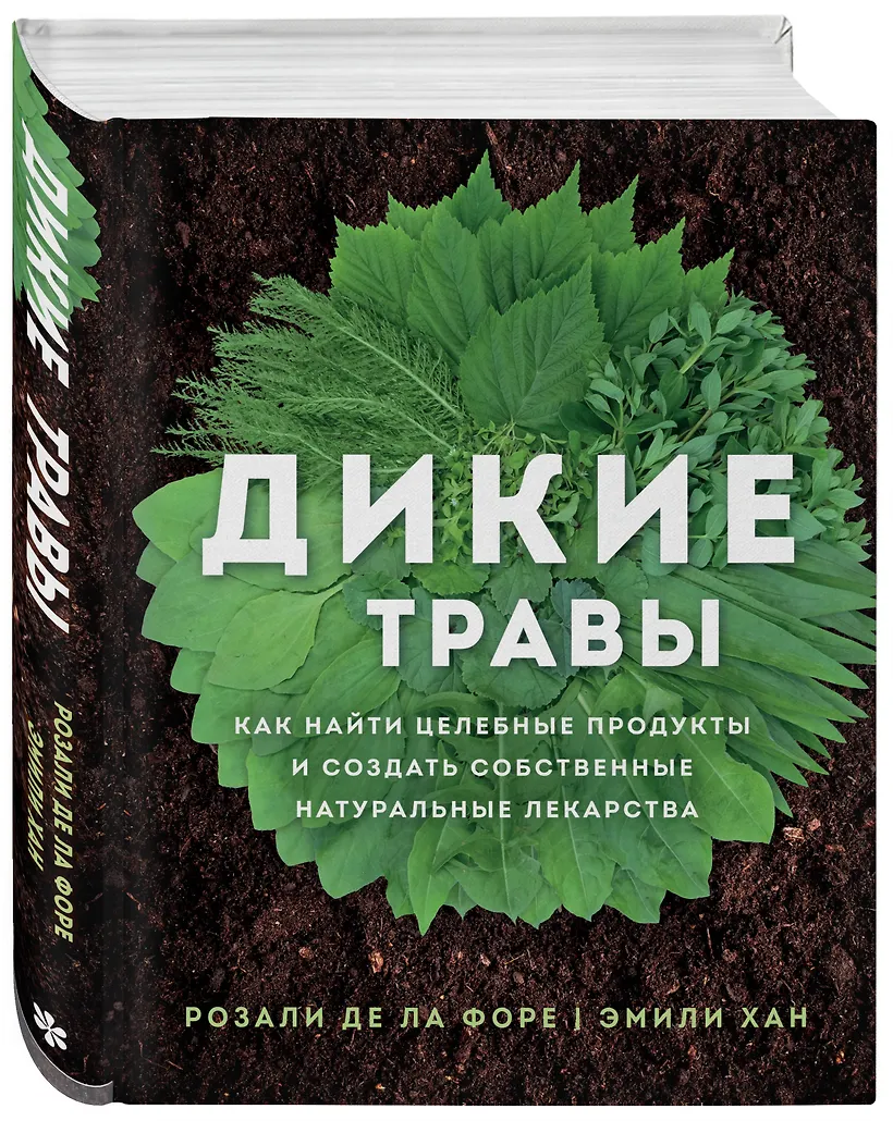 Дикие травы: как найти целебные продукты и создать собственные натуральные лекарства - фото 3