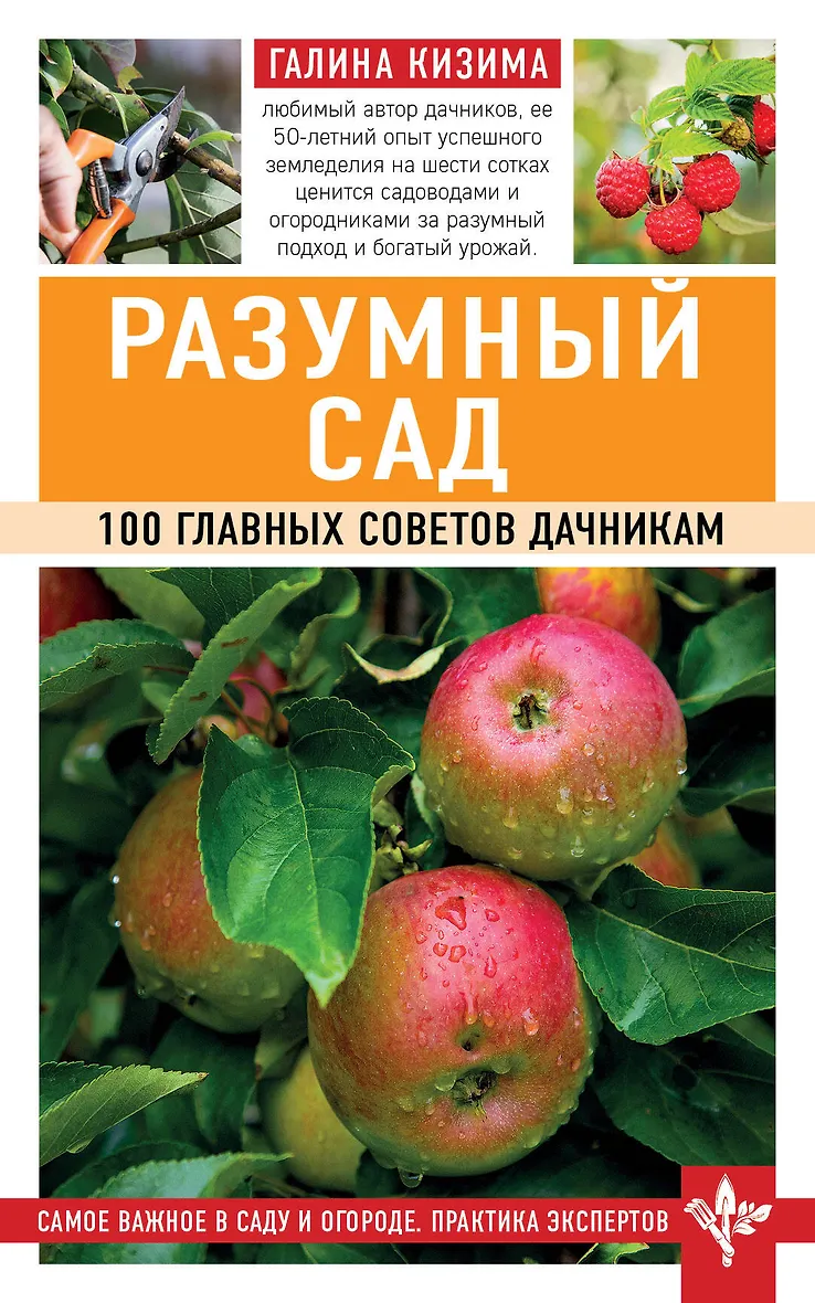 Галина Кизима Книги Купить