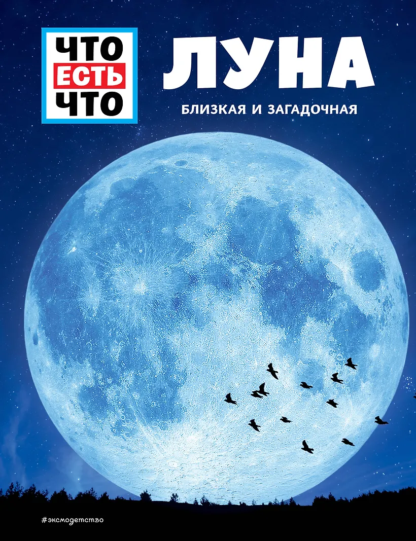 Молодёжная проза современные любовные. Ритм луны. Книга про луну для детей. Короткие немецкие книги про луну для детей. Книга когда луна.