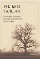 Мадлен. Мгновения с прекрасным