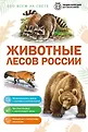 Обо всем на свете. Энциклопедия для школьников