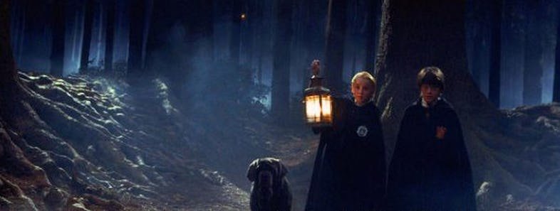 Драко Малфой и Гарри Поттер в запретном лесу ночью кадр из фильма.jpg
